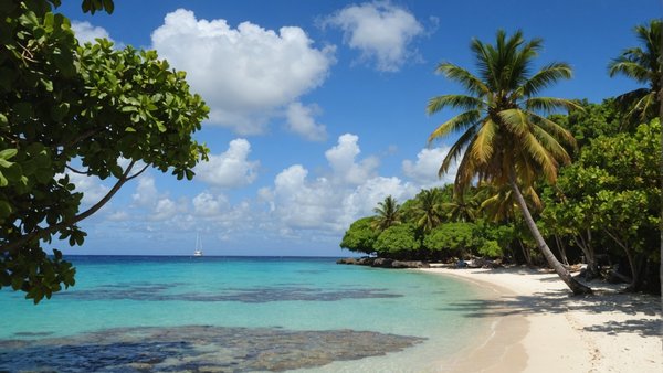 Quand partir en guadeloupe : conseils pour choisir la saison idéale